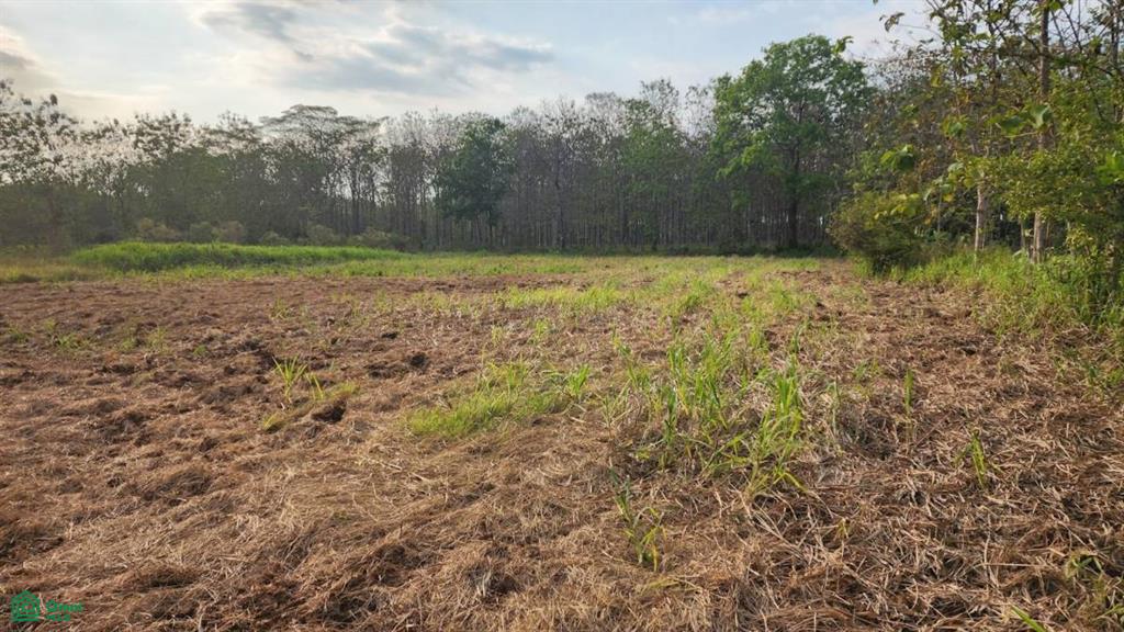 Beautiful 124 Acre Lot In Parcelas Quepos Puntarenas