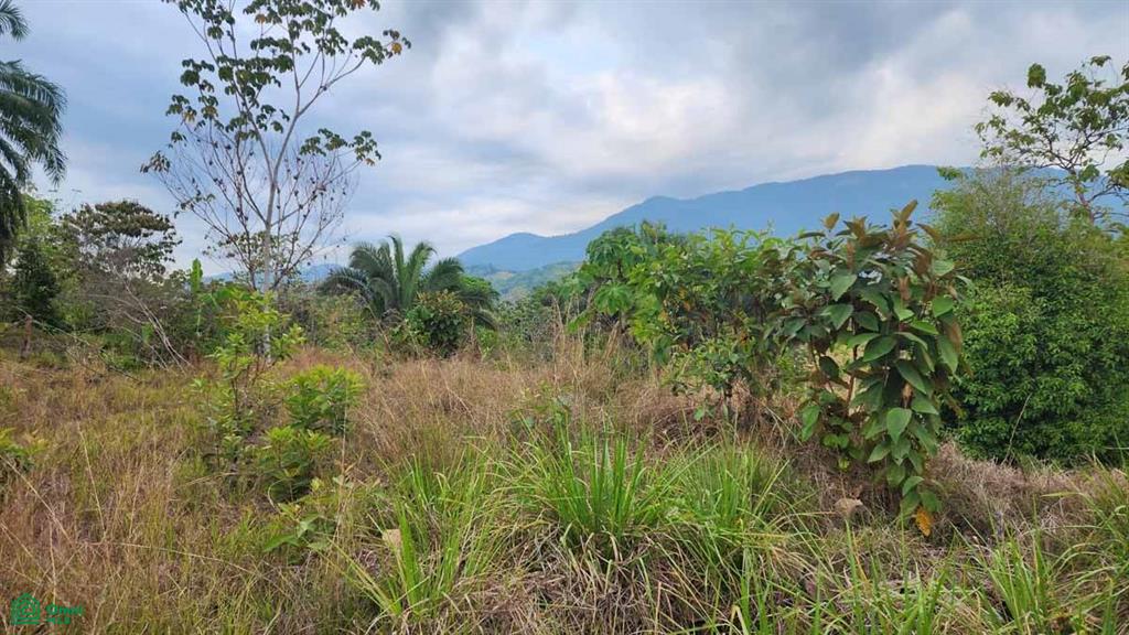 Mountain View Lot Close To Town Quepos Puntarenas