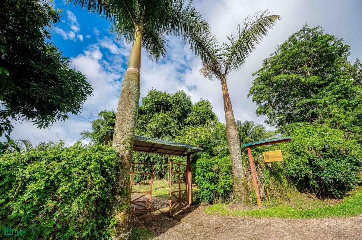 Luxury Lakefront Villa, Arenal, Tilaran, Tilaran, Guanacaste, Costa Rica