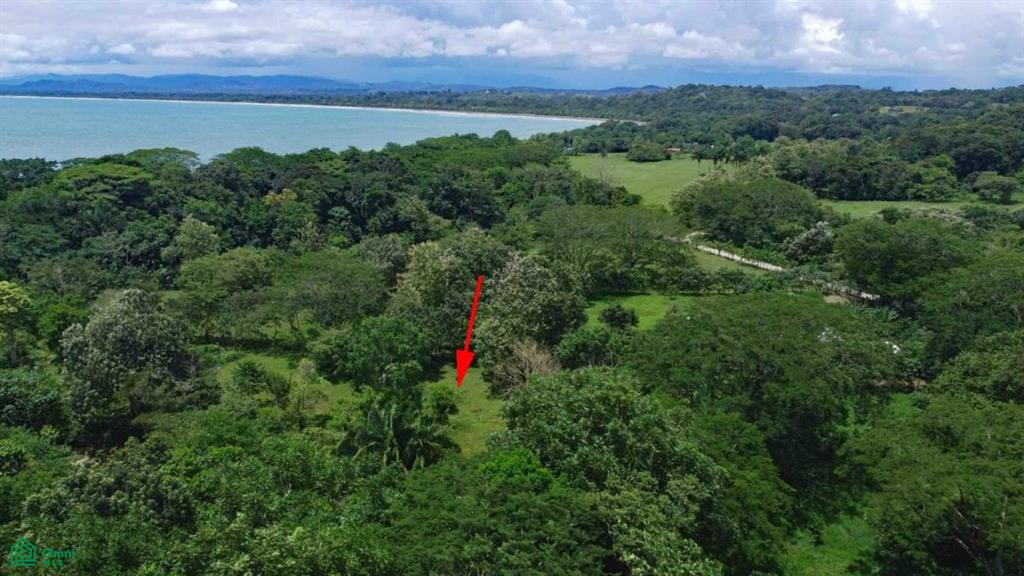 Cruze De Zancudo Y Pilon Calle 611 Golfito Puntarenas