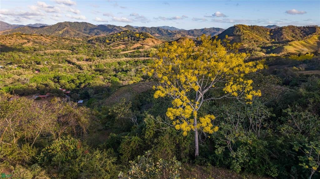 Lote Vista Verde Belen Belen De Nosarita Guanacaste