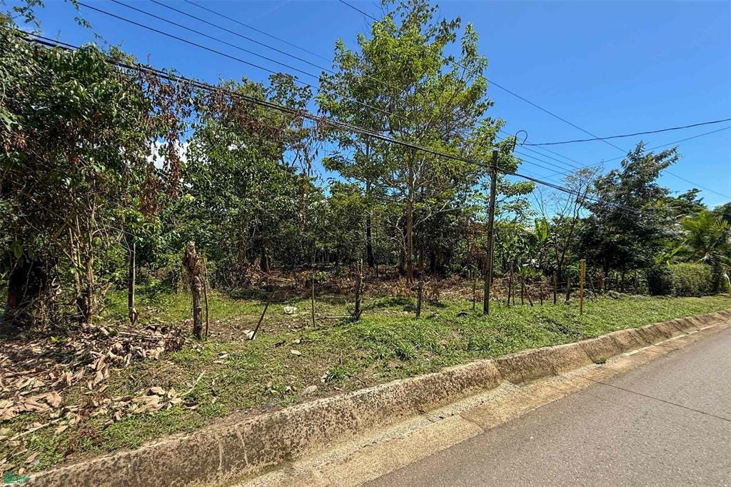 33 Calle Del Bosque, Ojochal, Puerto Cortes, Osa, Puntarenas, Costa Rica 60501