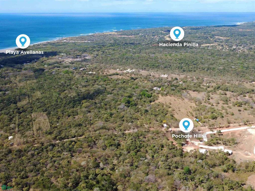 2 Pochote Hills Tamarindo Guanacaste