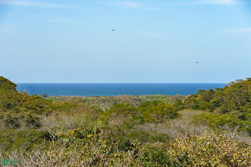 El Sueno Los Jobos Tamarindo Tamarindo Guanacaste