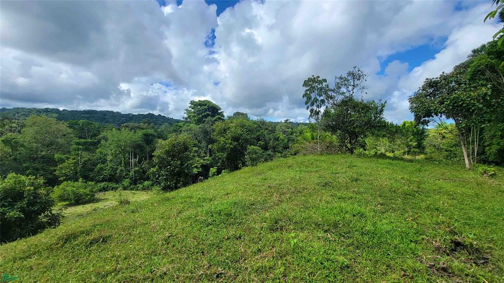 611 Pavon Puntarenas