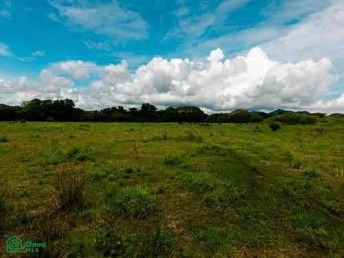Sardinal Farm Tempate Guanacaste