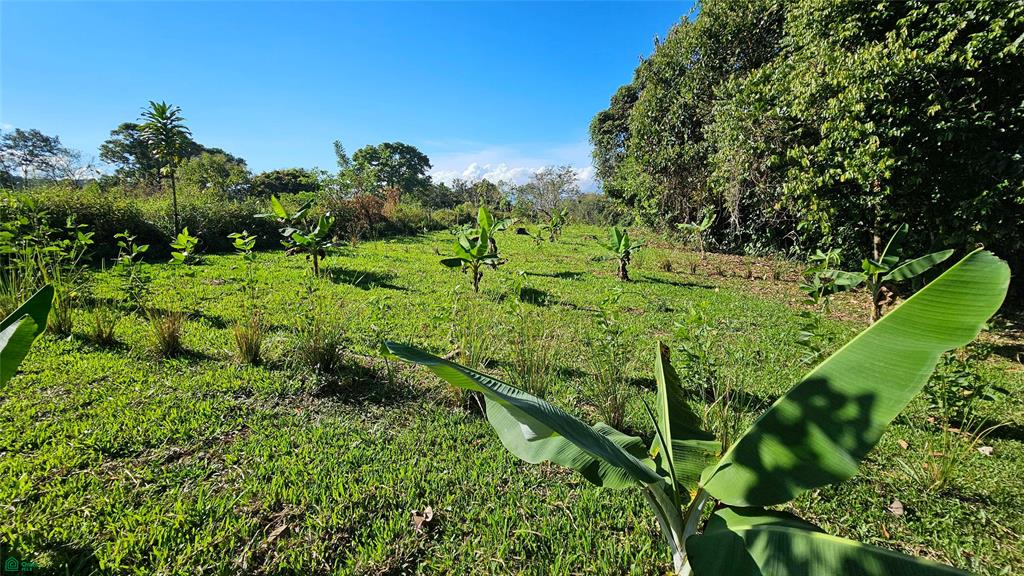 Playa Verde Creekside Lot El General San Jose