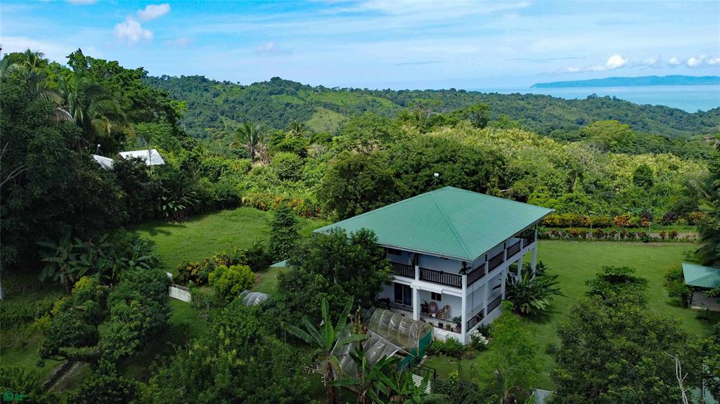 Cuervito Arriba Pavon Puntarenas