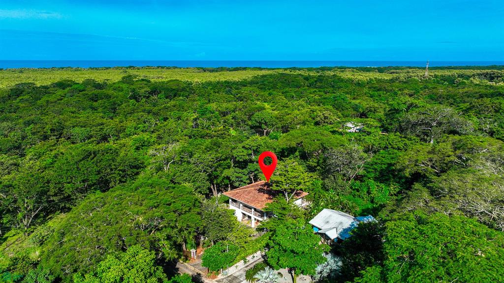Surf Paradise Casa Blanca Playa Negra Veinticiete De Abril Guanacaste