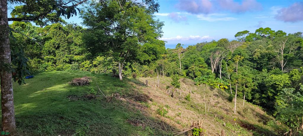 Finca Estrella Pavon Puntarenas