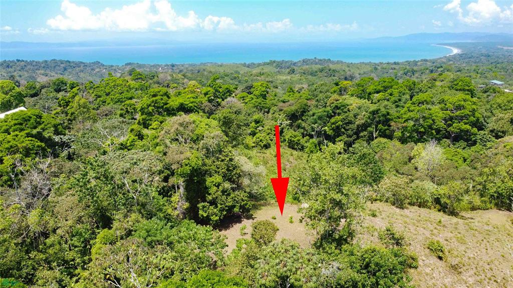 Finca Estrella Pavon Puntarenas