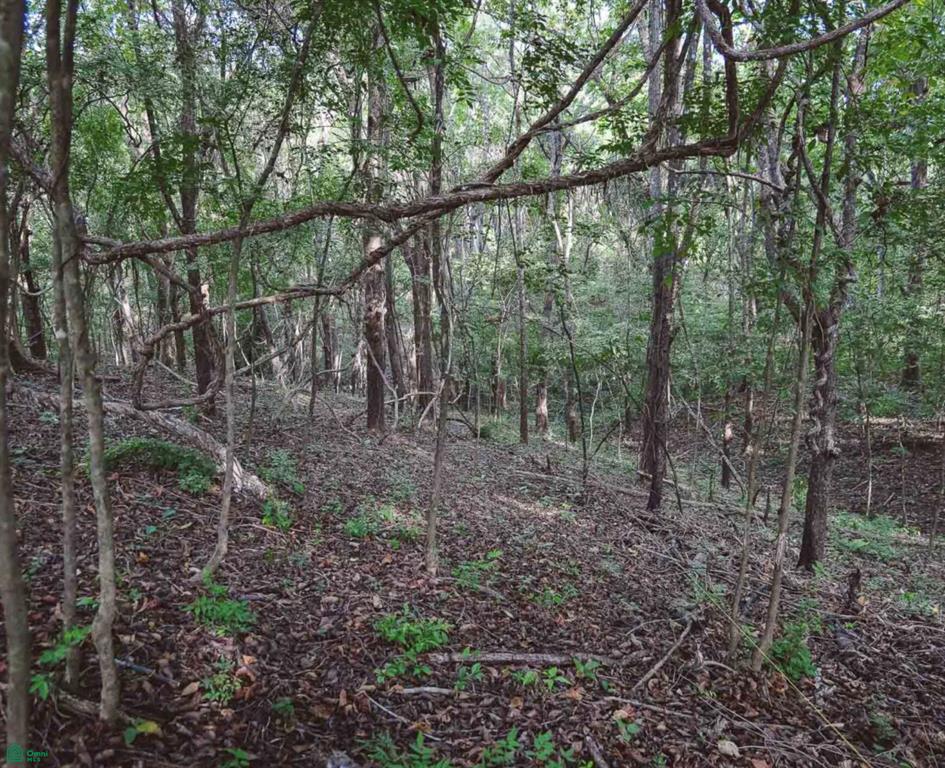 Julia Drive Sardinal Guanacaste