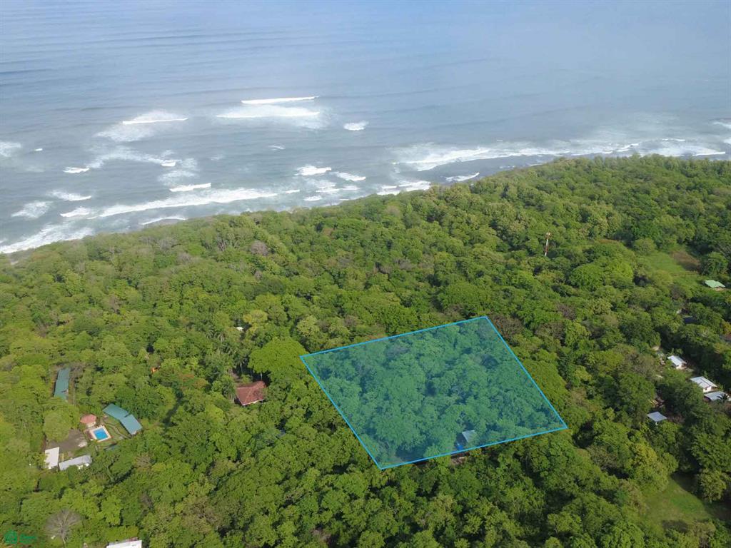 1 Lagartillo Tamarindo Guanacaste