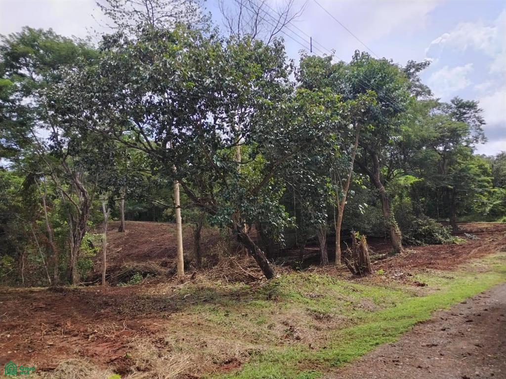 Eco Development Veintisiete De Abril Guanacaste
