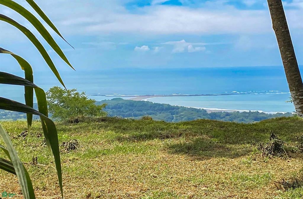 Uvita Calle Bejuco Baha Ballena Puntarenas