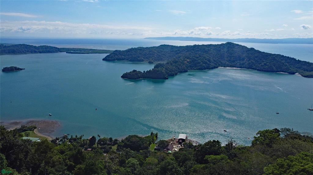 Cerro Adams Golfito Puntarenas