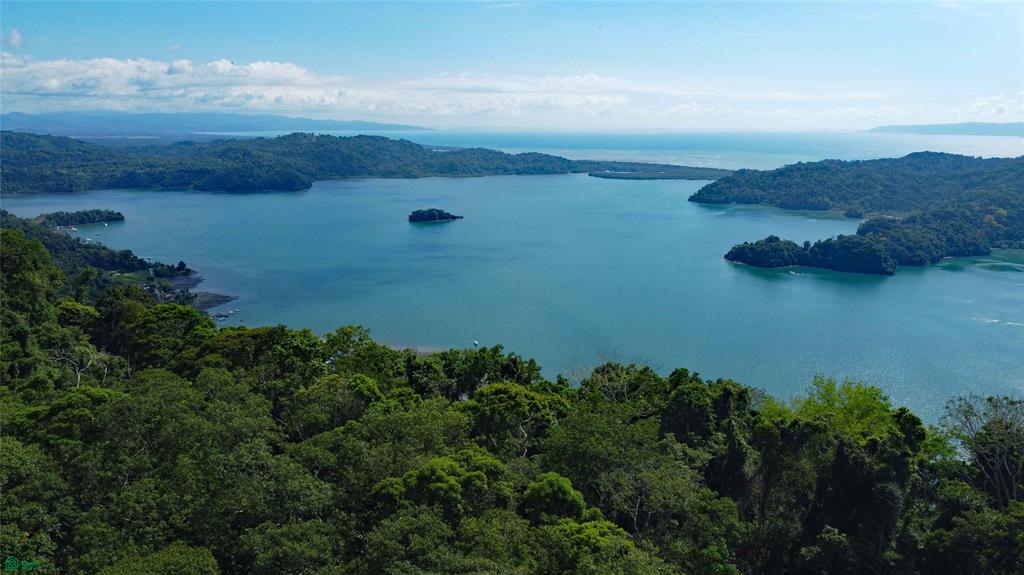 Cerro Adams Golfito Puntarenas