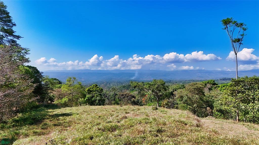 Sunset Valley Finca Tambor Cajon San Jose