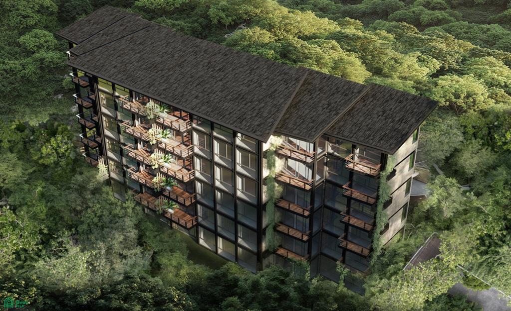C Soledad Porvenir Guanacaste