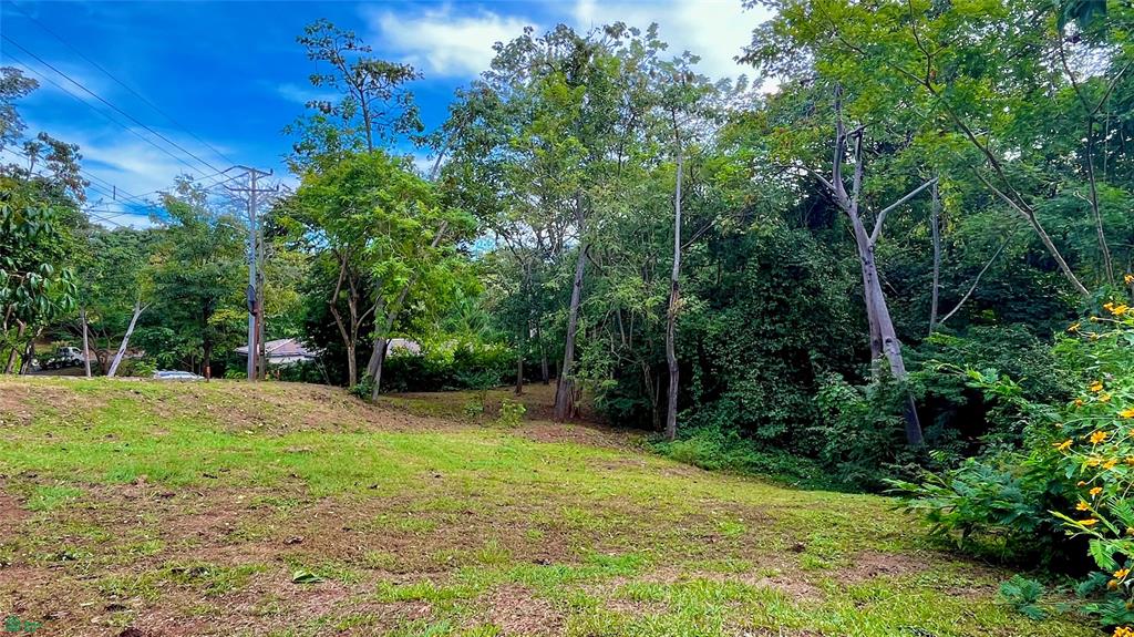 42 Lush 040 Acre Forested Lot In The Prestigious Las Cabo Velas Guanacaste