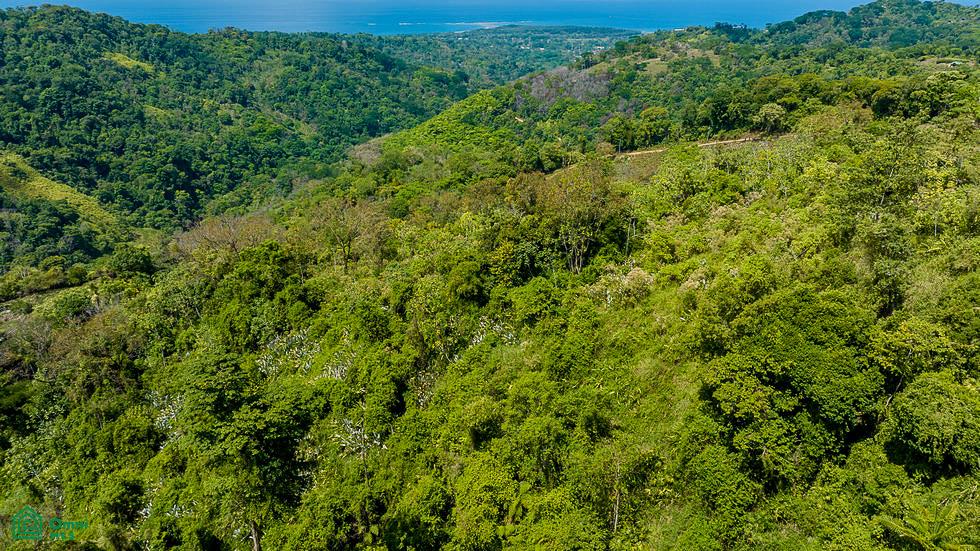 Luxury Waterfall Farm Bahia Ballena Puntarenas