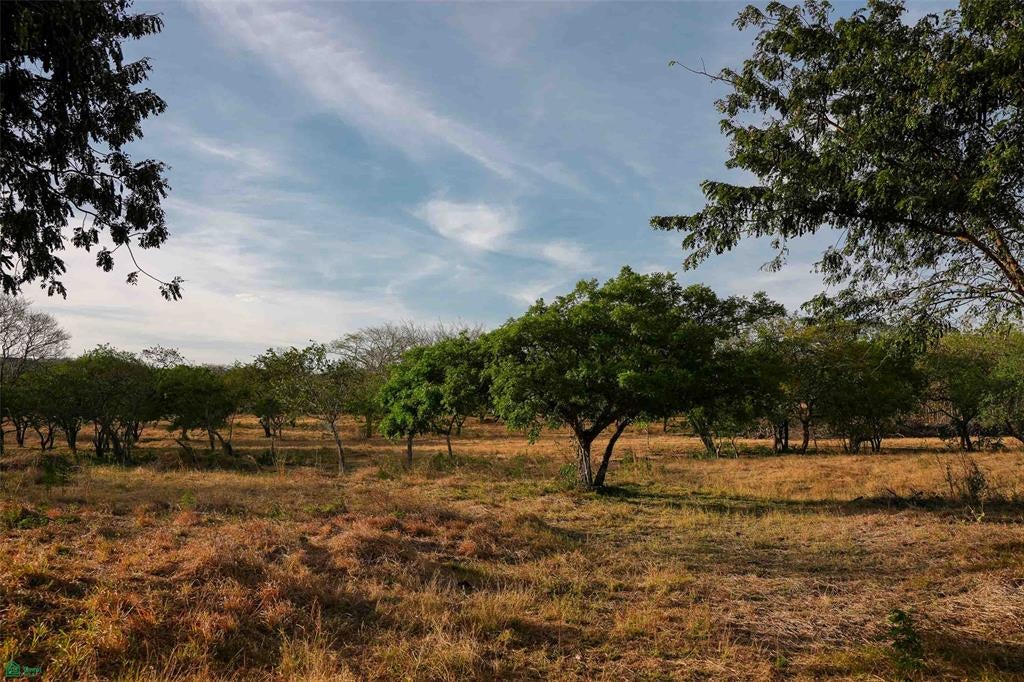Premium Lot Inside Nature Tamarindo Guanacaste