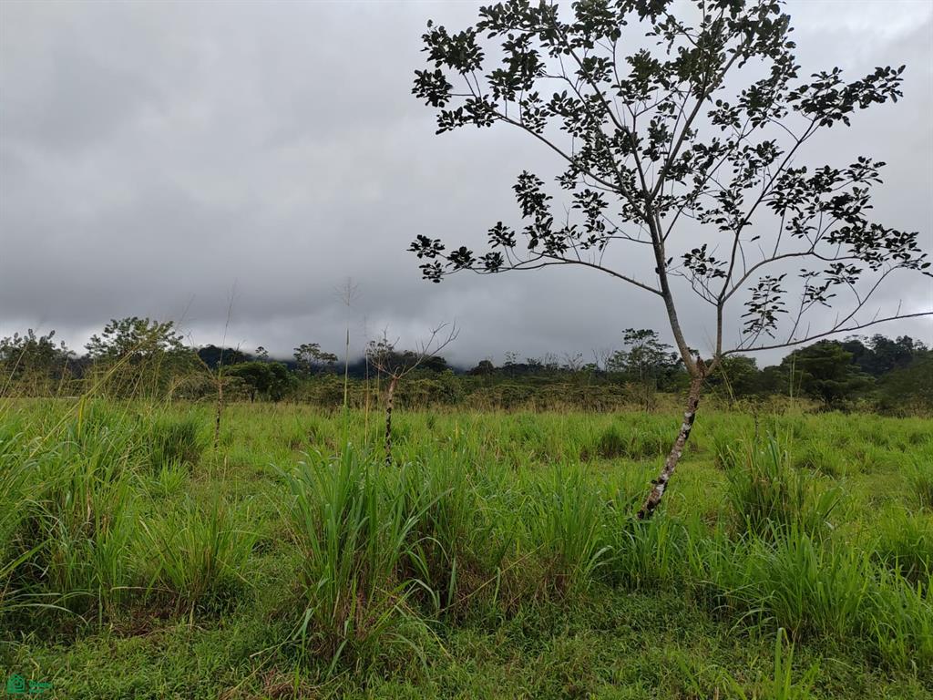 C. Rio Celeste, San Rafael, Guatuso, Alajuela, Costa Rica 20108