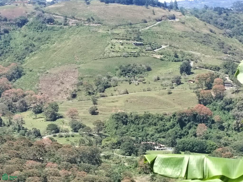 Ruta 224 Orosi Paraiso Orosi Cartago