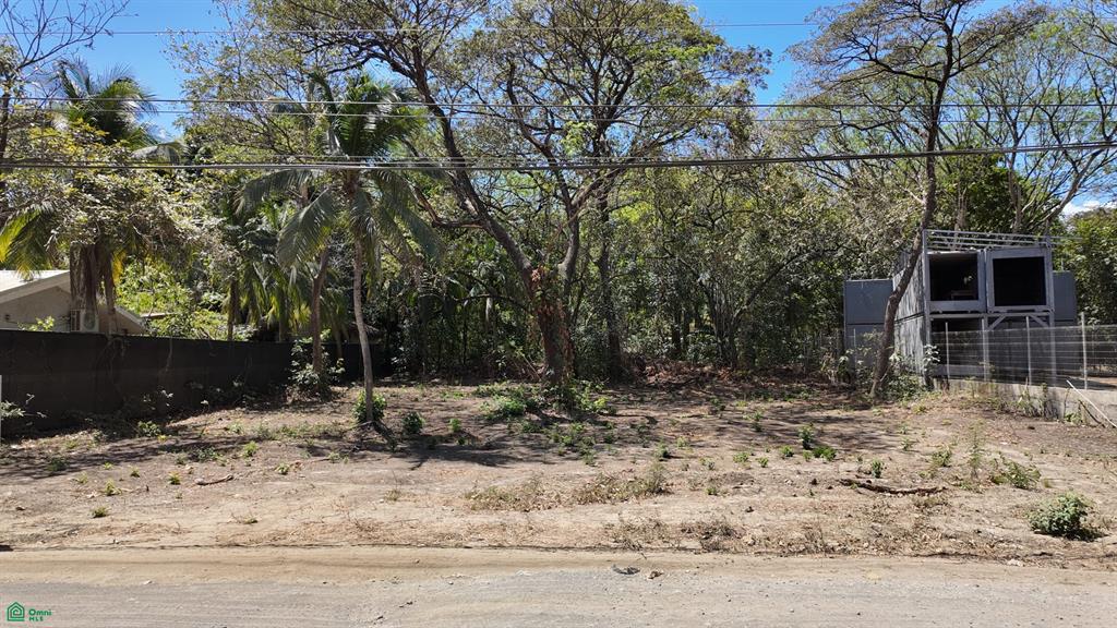 Surfside Lot R25 Tempate Guanacaste