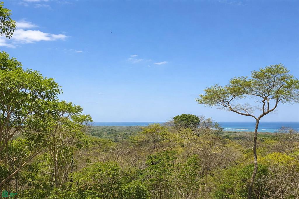41 Via Senderos Tamarindo Guanacaste