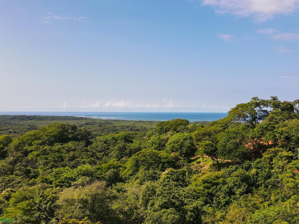 39 Via Senderos Tamarindo Guanacaste