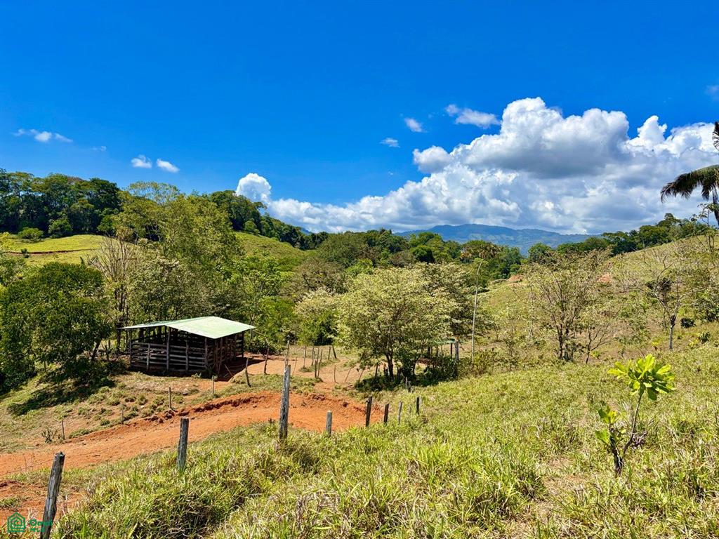 Dominical Puntarenas