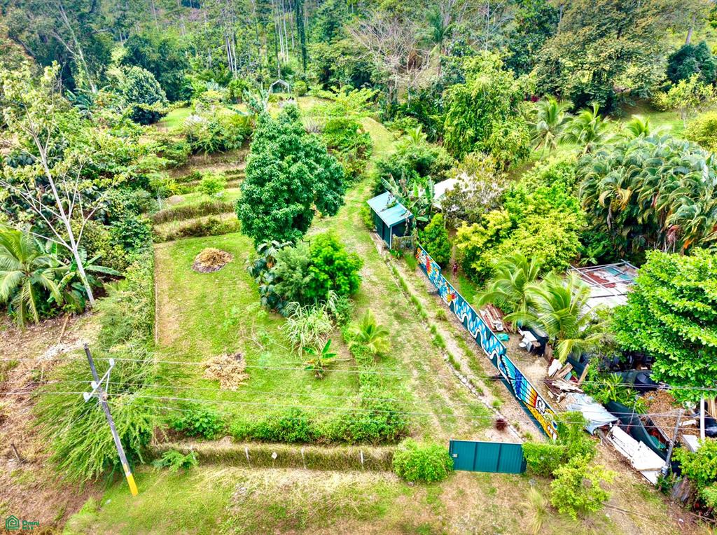 36 Ruta Nacional Primaria Cahuita Limon