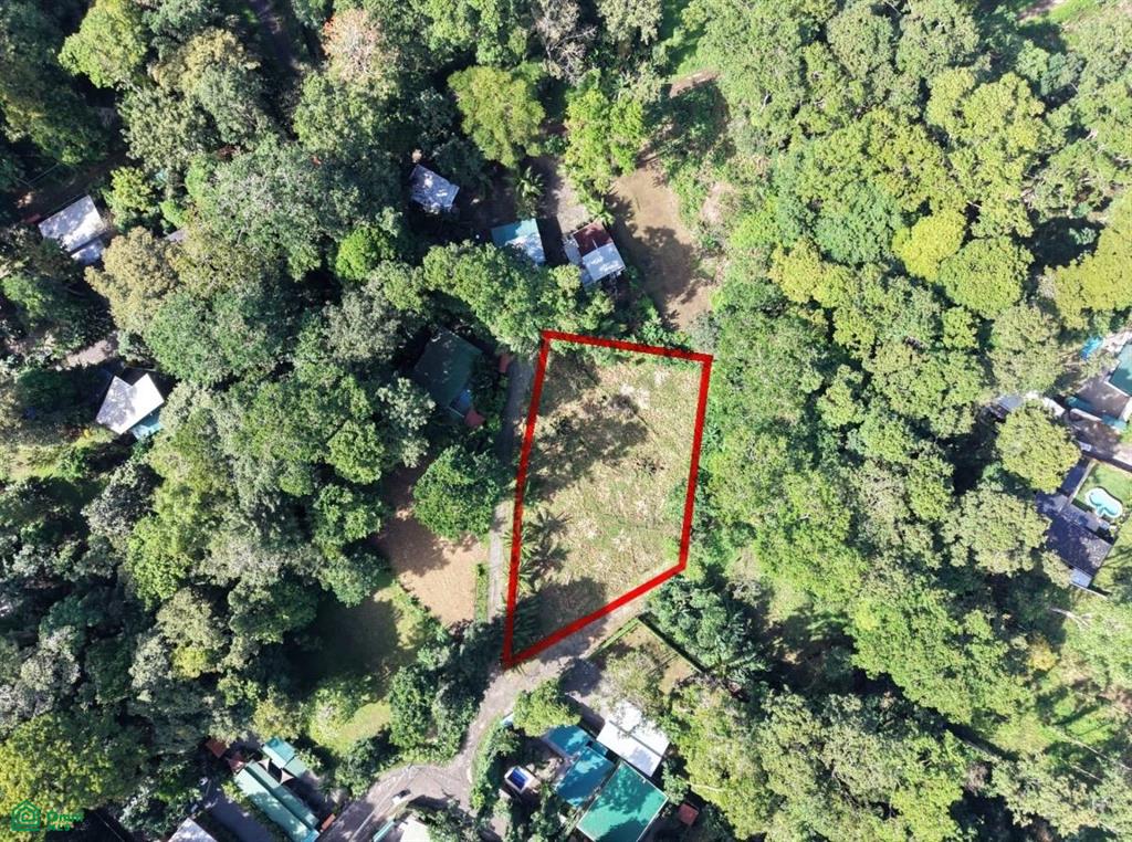 1 Calle Playa Negra Cahuita Limon
