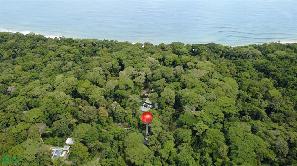 256 Oasis Cahuita Limon