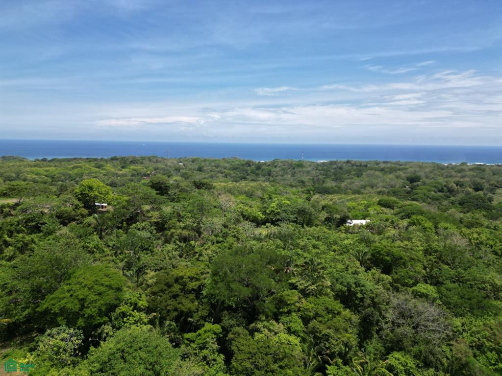 San Juanillo Farm Cuajiniquil Guanacaste