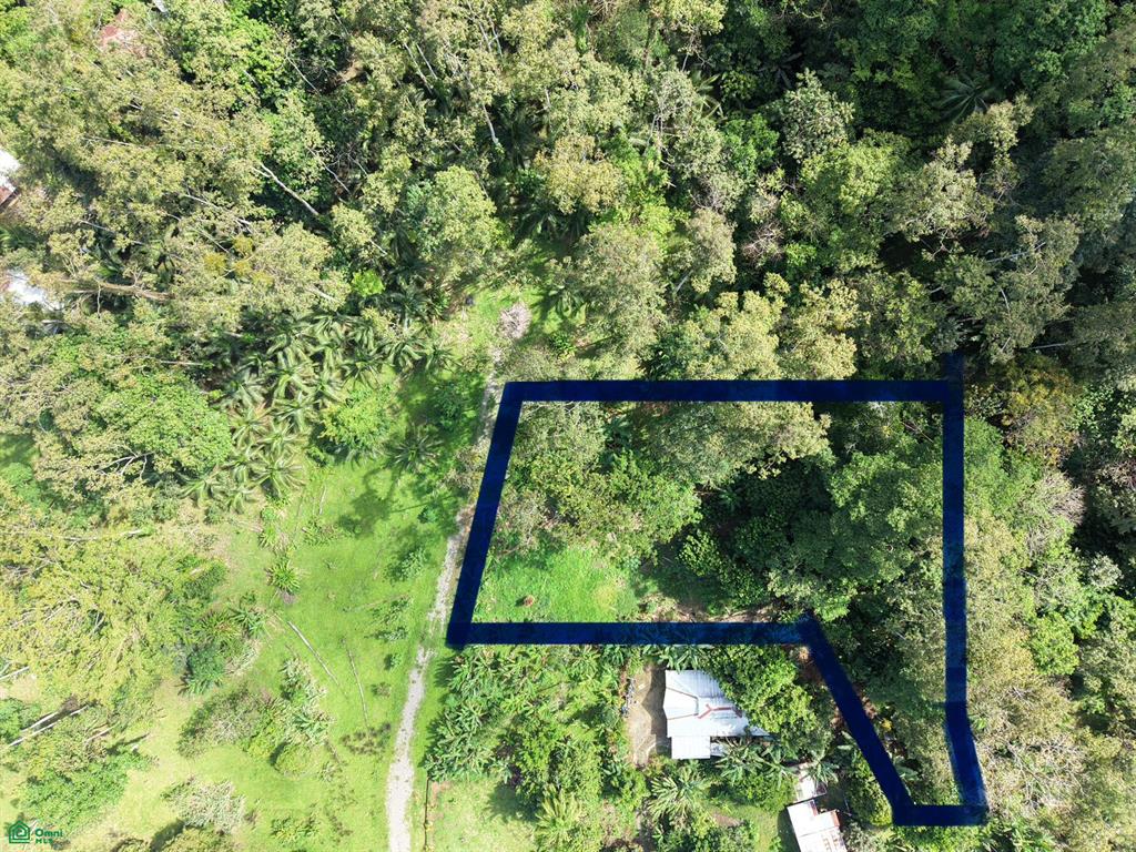 1 Carbon Cahuita Limon