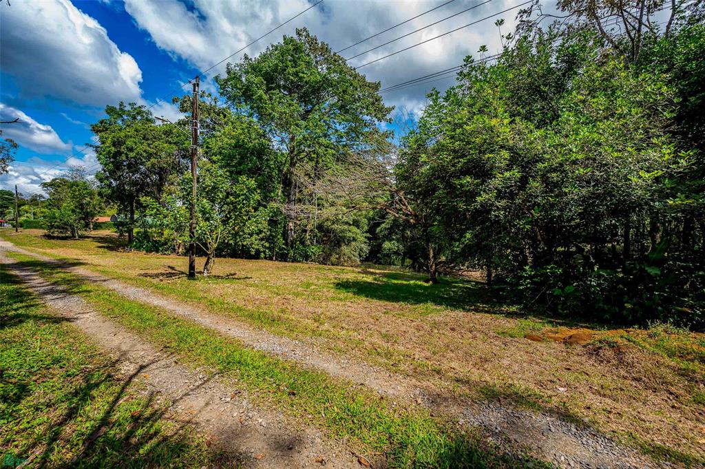 Prime Land With Private Lake La Fortuna Alajuela