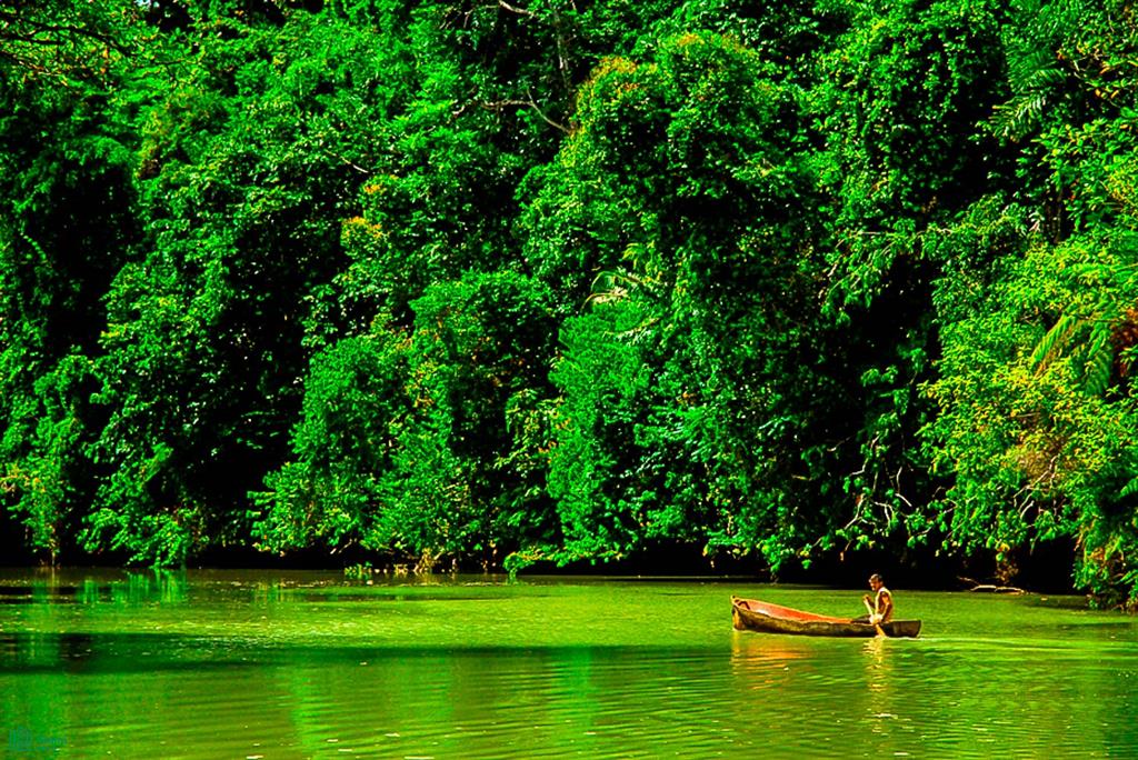 Osa Waterfront Lodge Puerto Jimenez Puntarenas