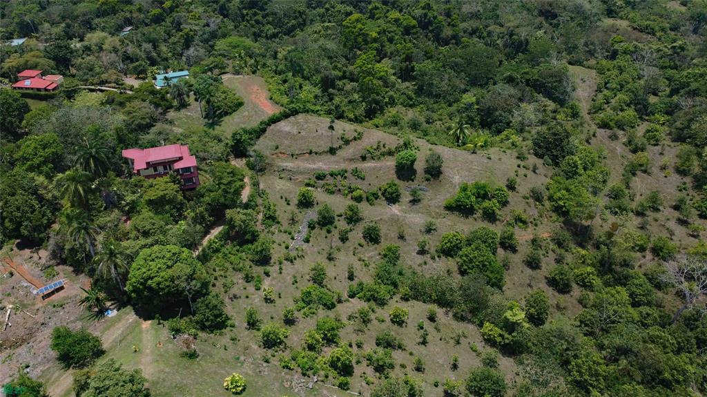 611 Pavon Puntarenas