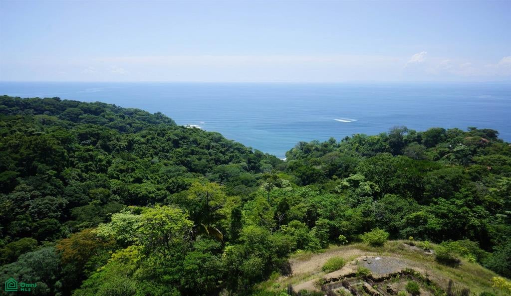 Sn Trcoles Puntarenas