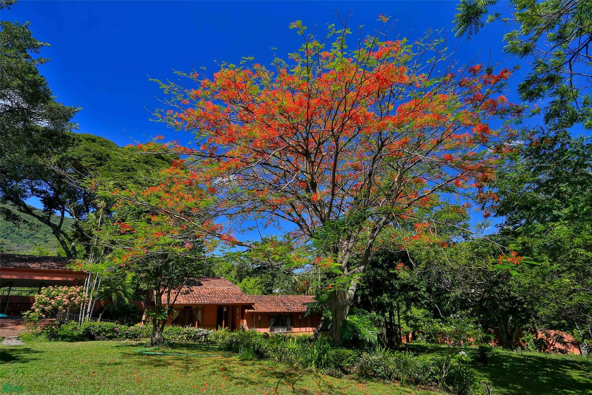 Two Home Rural Retreat, Uruca, Santa Ana, San Jose, Costa Rica 10107