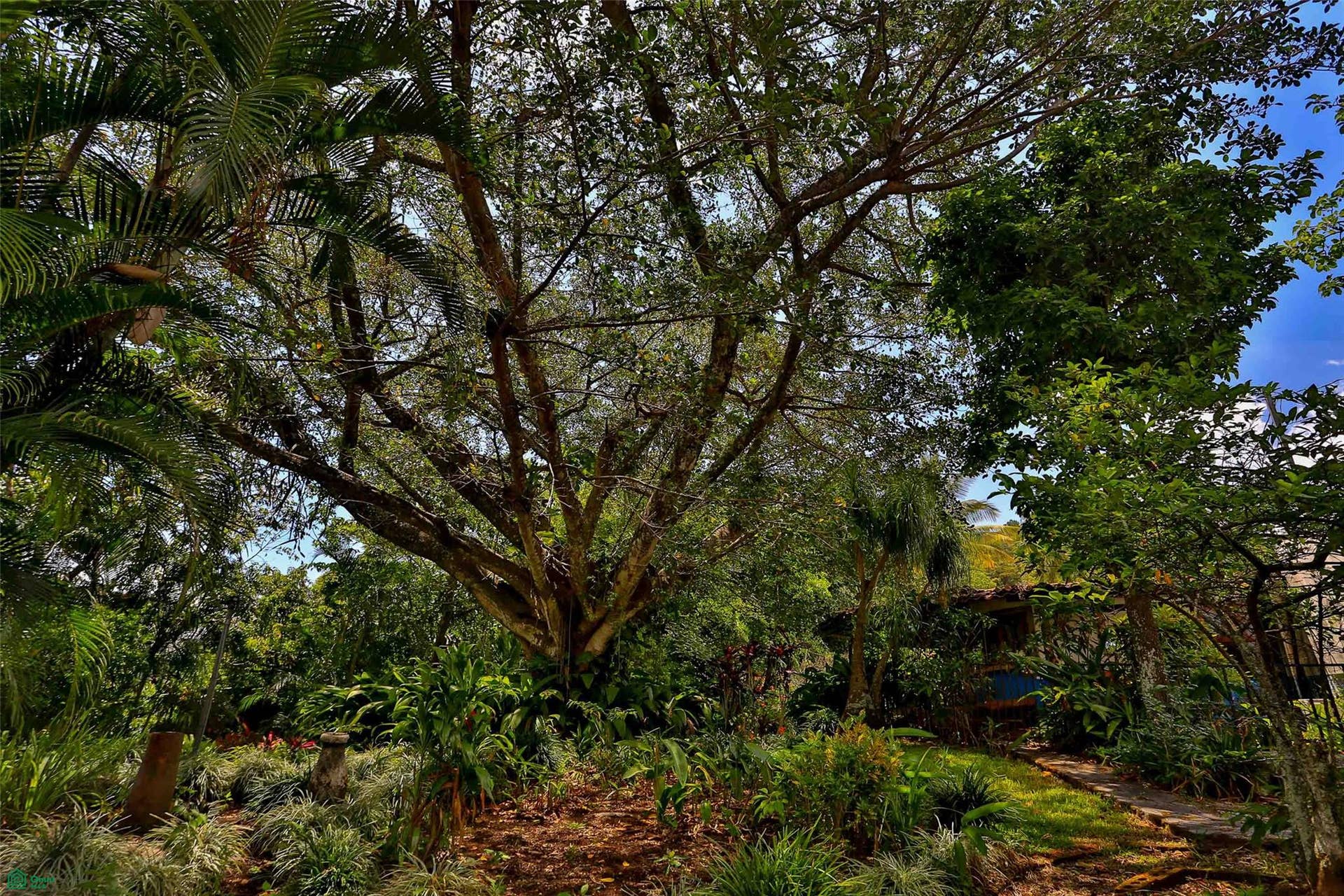 Two Home Rural Retreat, Uruca, Santa Ana, San Jose, Costa Rica 10107