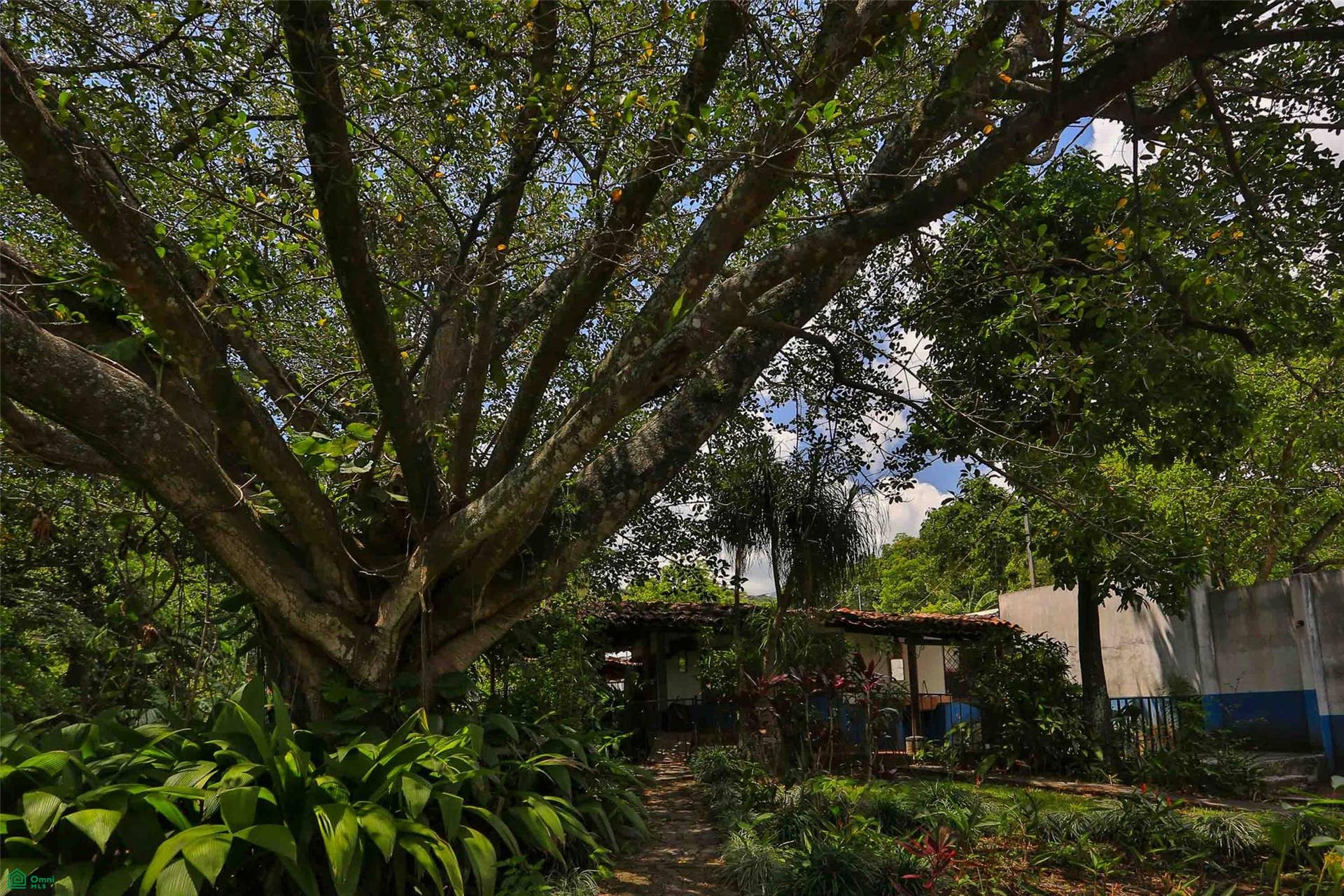 Two Home Rural Retreat, Uruca, Santa Ana, San Jose, Costa Rica 10107