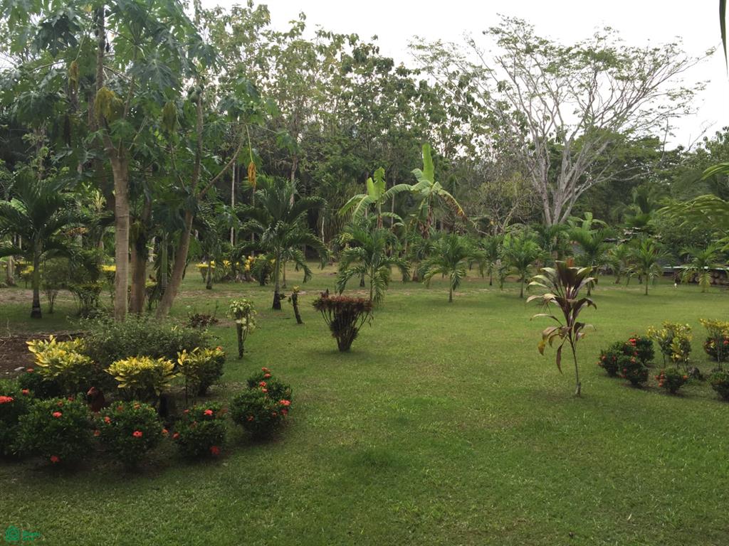 Puerto Jimenez Puntarenas