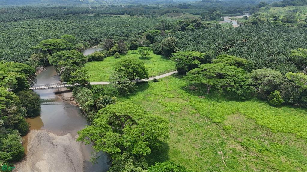 Riverside Mountain View 10 Hectares Finca Anita Quepos Puntarenas