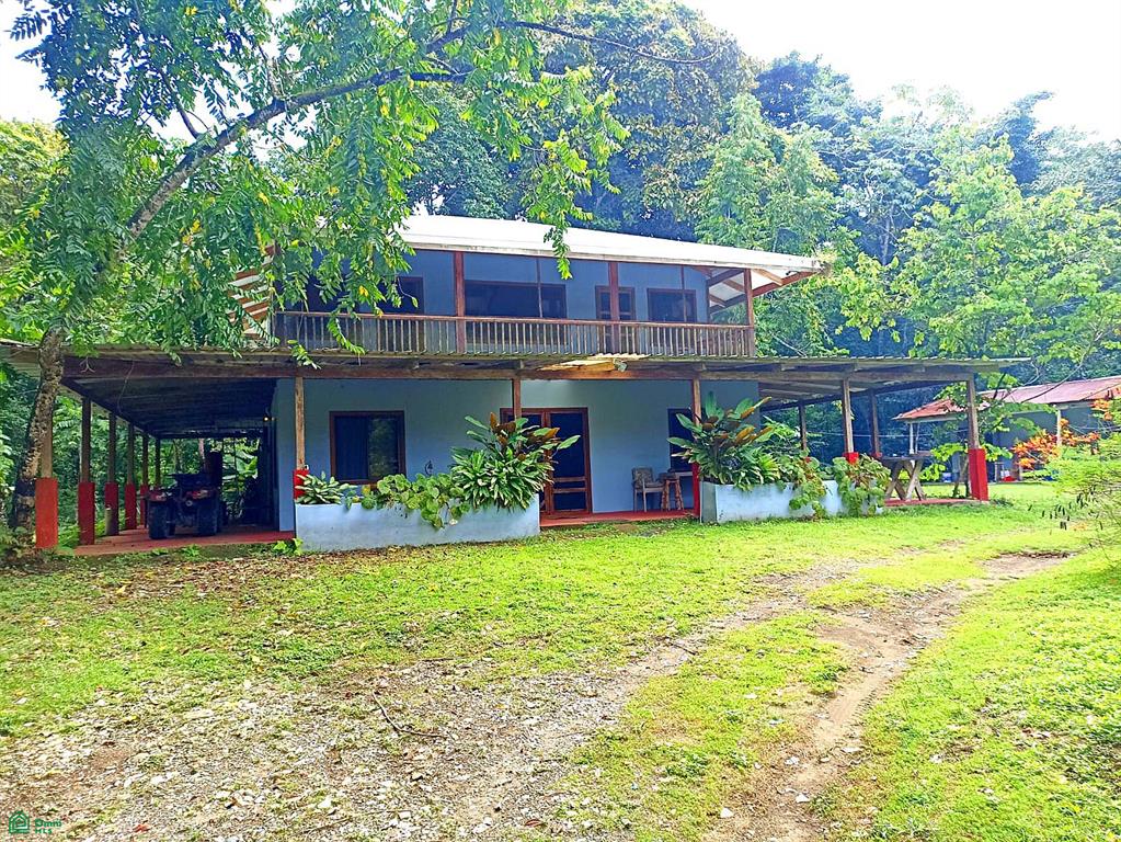 Calle Zancudo Pavn Puntarenas
