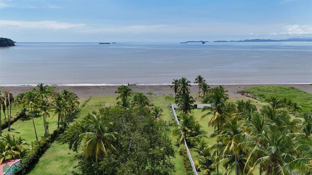 Provincia De Puntarenas Puntarenas Costa Rica El Roble Puntarenas