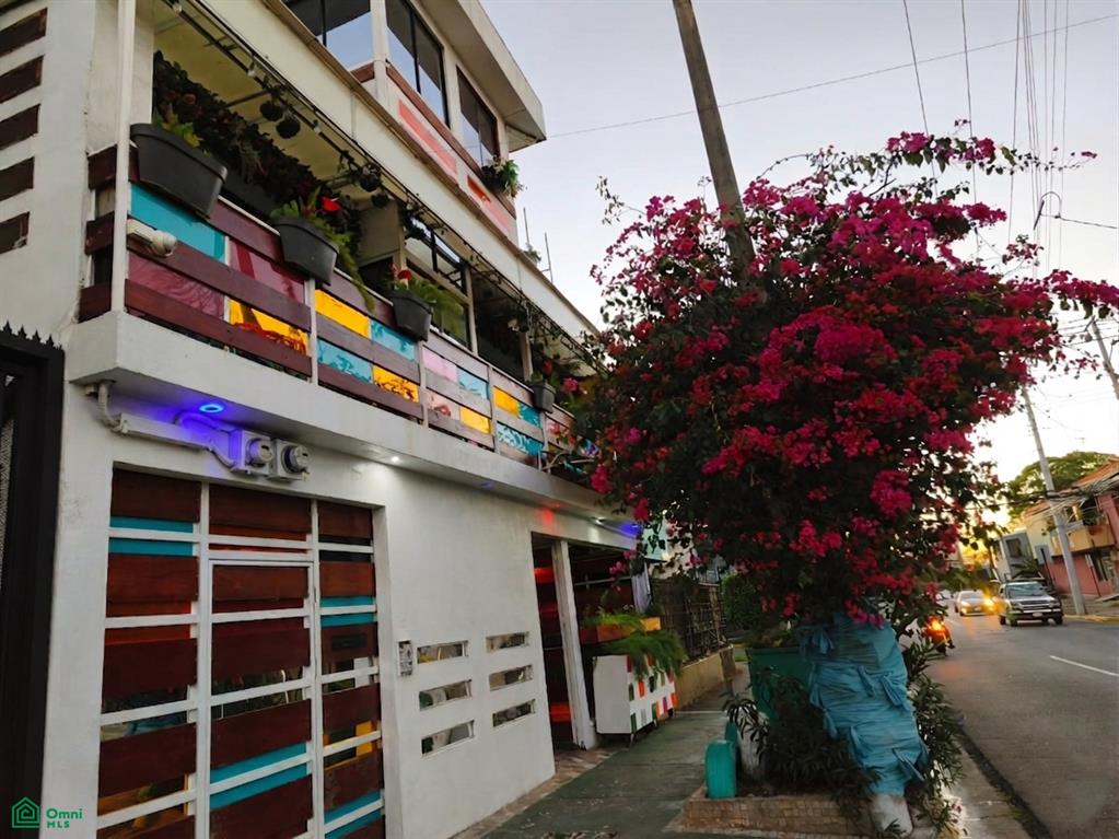 Paseo Colon Barrio Pitahaya San Rafael San Jose
