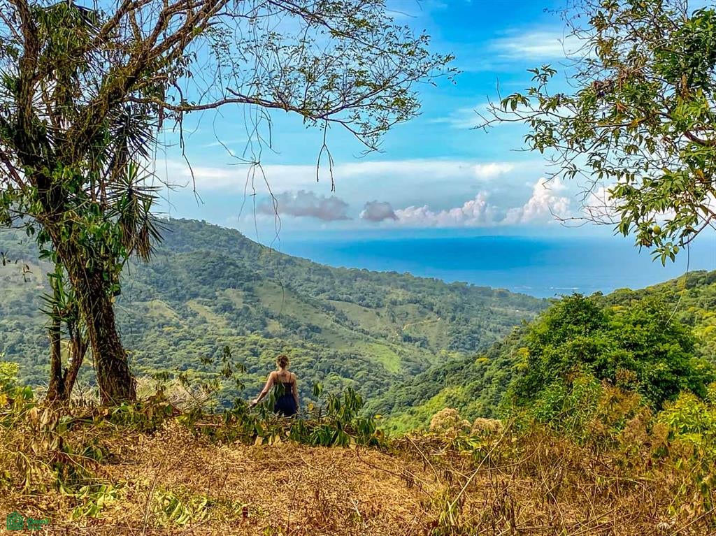 Uvita San Josecito Road Baha Ballena Puntarenas